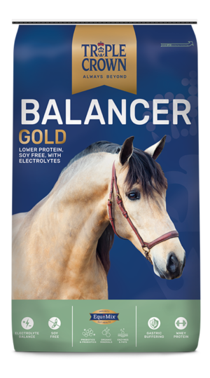 TRIPLE CROWN BALANCER GOLD