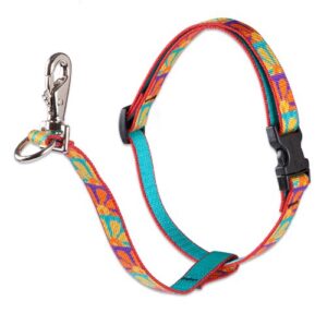 3/4" DAPPER DOG 16-26 NO PULL HR