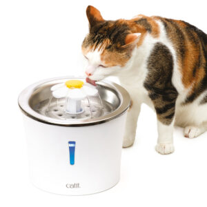 CATIT FLWR FTN STSL TOP