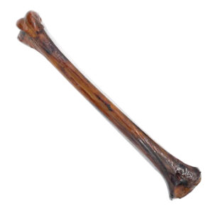 OSTRICH SHIN BONE