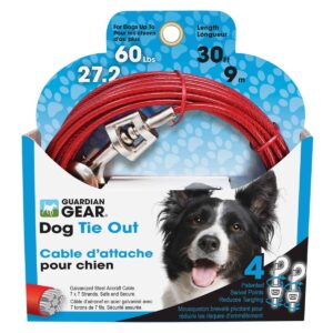 TIE OUT CABLE 30' LARGE