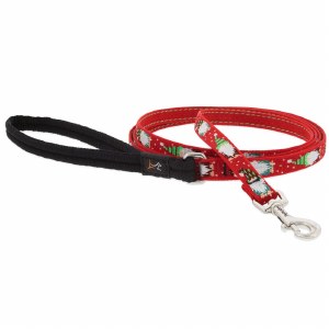 LEASH 6FT GNOMES 1/2