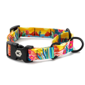PACKLDR MARTINGALE 1" 14-18"