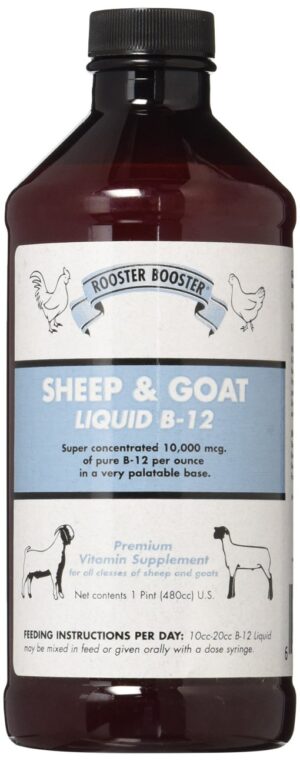 RB LIQUID B-12 VIT SHEEP GOAT 16