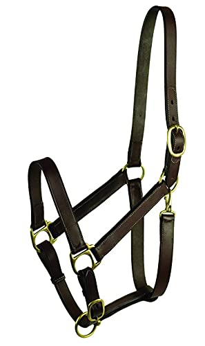 HALTER GATSBY LEATHER NO SNAP