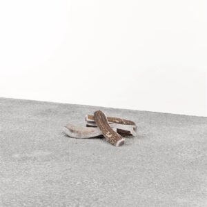 PRIMAL D STAG ANTLER SMALL