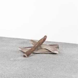 PRIMAL D STAG ANTLER LARGE