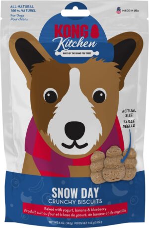 KONG SNOW DAY CRUNCHY BISCUITS