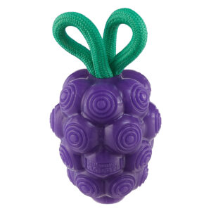 OH DNTL GRAPE TNT PRPL TOY