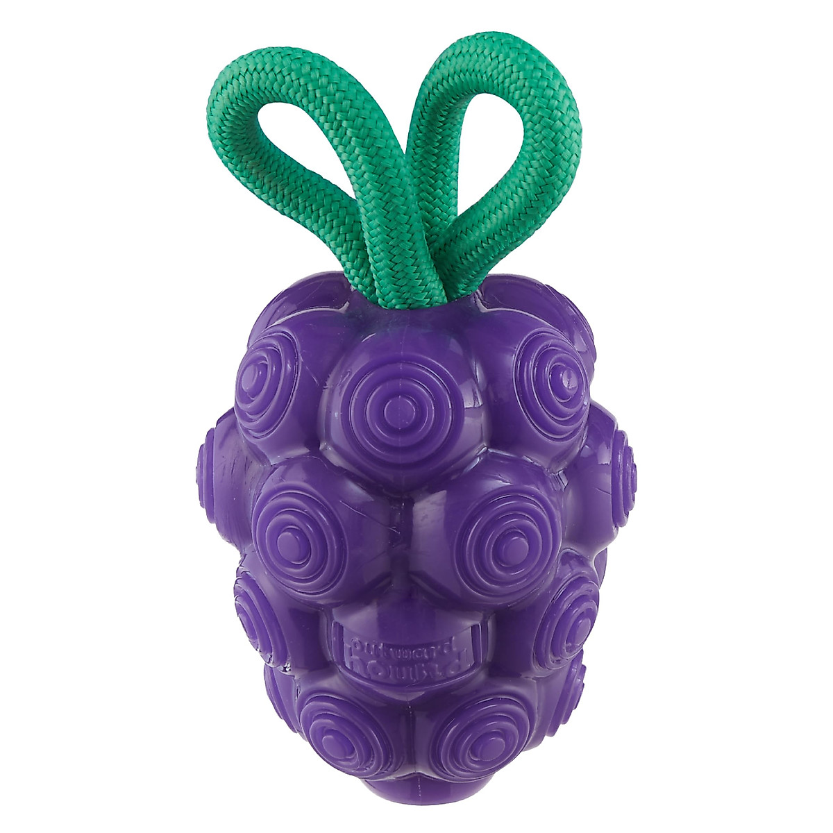 OH DNTL GRAPE TNT PRPL TOY