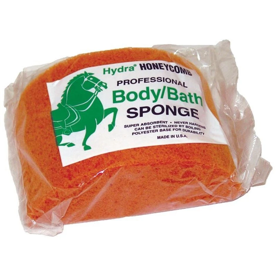 SPONGE BODY HONEYCOMB MD