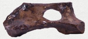 NATURE'S OWN SMOKED HIP BONE 17"