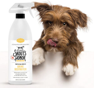 SKOUT URINE DESTROYER 128OZ