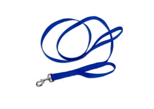 LIL PAL DBL LOOP LEASH BLUE 1X6