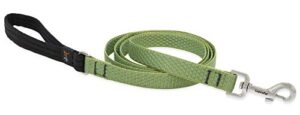 3/4in Moss 4ft Leash