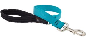 1in Aqua 2ft Leash