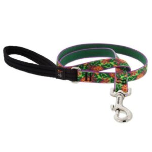 LEASH 3/4 6FT PINA COLADA