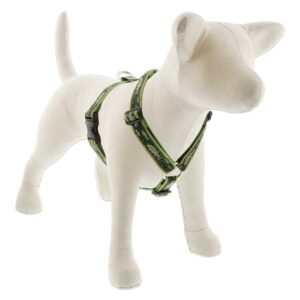 LUPINE ROMAN HARNESS 1" 36-44