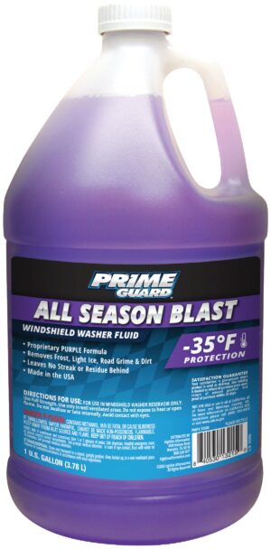 WINDSHIELD WASHER FLUID 1 GAL