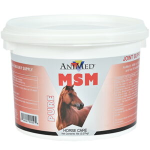 MSM POWDER ANIMED