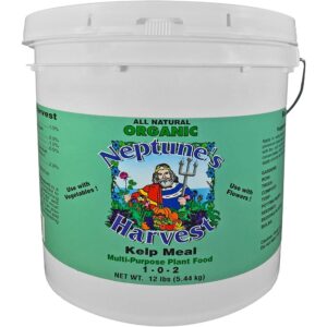 NEPTUNE HRVST KELP MEAL