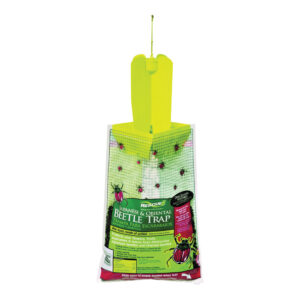 JAPANESE BEETLE TRAP