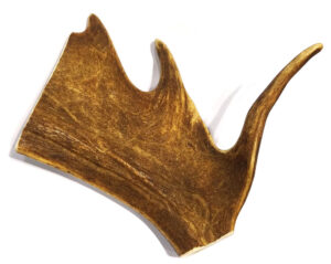 ANTLER DEER PADDLE