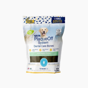 PO MINT FUSION DENTAL BONE 17OZ