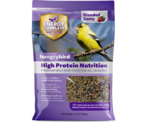 HB ENERGY/PROTEIN FILLED SUET