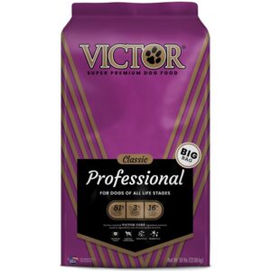 VICTOR PROFESSIONAL BEEF 50#