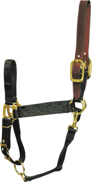 HALTER HAMILTON BREAKAWAY SMALL
