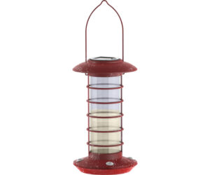 HUMMINGBIRD SOLAR FDR RED