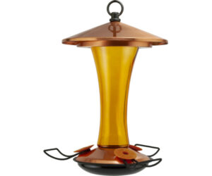 MID CENTURY COPPERTOP ORIOLE FDR