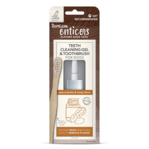 ENTICER TOOTHPASTE/BRUSH PB LG