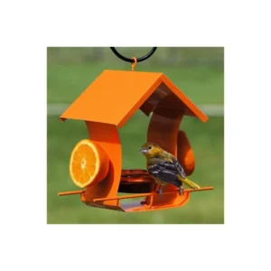 METAL HOUSE ORIOLE FDR ORANGE