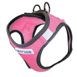 BAYDOG HARNESS MD