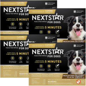 NEXTSTAR F/T 23-44 LB-3 CT