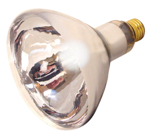HEAT LAMP BULB CLEAR 125 WATT