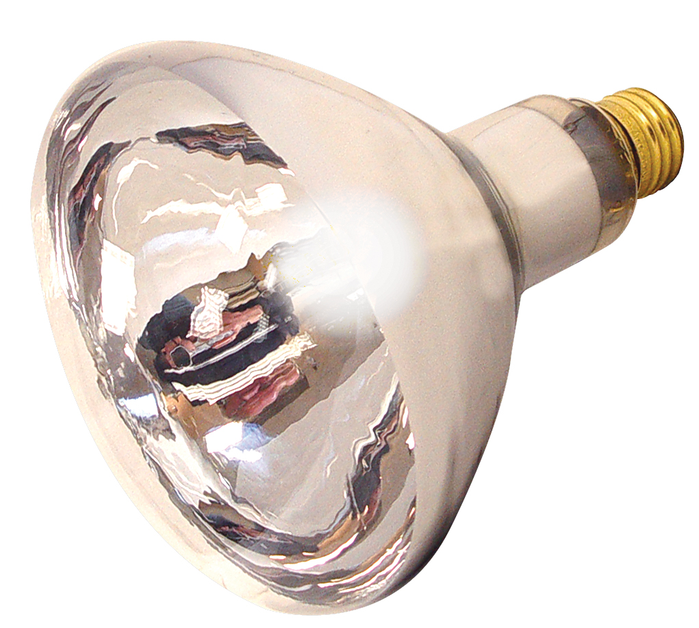 HEAT LAMP BULB CLEAR 125 WATT