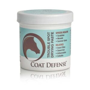 COAT DEFENSE DRYING PASTE
