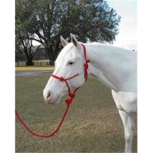 HALTER ROPE HAMILTON W/ LEAD
