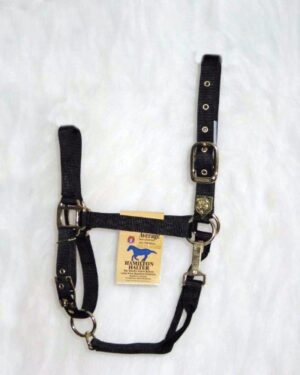 HALTER HAMILTON NYLON AVERAGE