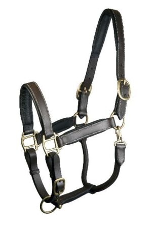 HALTER GATSBY PREMIUM LEATHER
