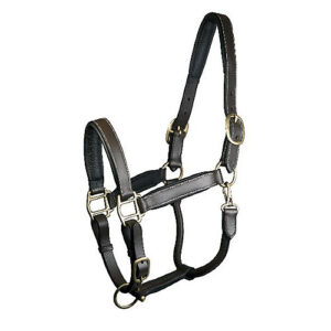 HALTER GATSBY PADDED LEATHER