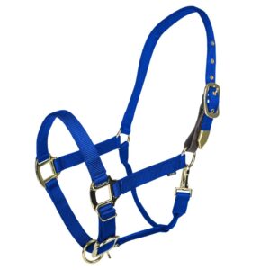 HALTER GATSBY GOLD SAFETY COB