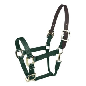HALTER GATSBY G BREAKAWAY PONY