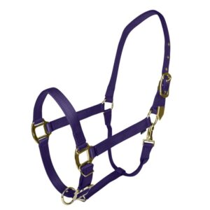 HALTER GATSBY GOLD NYLON PONY