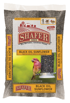 BLACK OIL SUNFLOWER 40LB (50/P)
