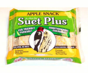 SUET PLUS APPLE SNACK SUET 11 OZ