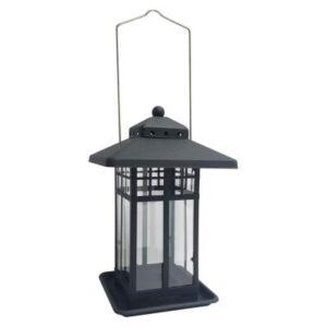 MIXED SEED METAL LANTERN FDR